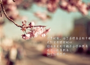 开云体育登录-南美烽火与欧洲星光，当阿根廷血拼智利之夜，佩德里已在2026世界杯画下接管比赛的蓝图