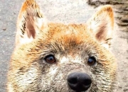 开云体育官网-黑色闪电熄灭在奥利维耶指尖，一场被改写篮球哲学的压制战