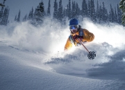 开云APP-眉毛浓密的指挥官，巴恩斯率猛龙全面压制绿军