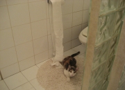 开云APP-跨越时空的对决，雷恩新星闪耀，提前上演的美加墨世界杯焦点预演