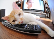 开云体育登录-足球地理的错位奇观，当南非主场迎来伊拉克，阿根廷的劳塔罗为何统治了数据？