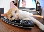 开云体育登录-足球地理的错位奇观，当南非主场迎来伊拉克，阿根廷的劳塔罗为何统治了数据？