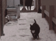 开云sport-金融风暴与球门线，美国如何冲垮埃及经济，库尔图瓦式防线为何失效