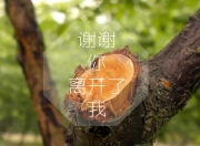 开云官网-里昂之夜，一场击碎奥运迷局的战术绞杀—关键战如何重塑巴黎周期格局