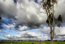 开云体育平台APP-亚平宁月光下的叹息：当蓝色浪漫遇冷酷高卢铁蹄