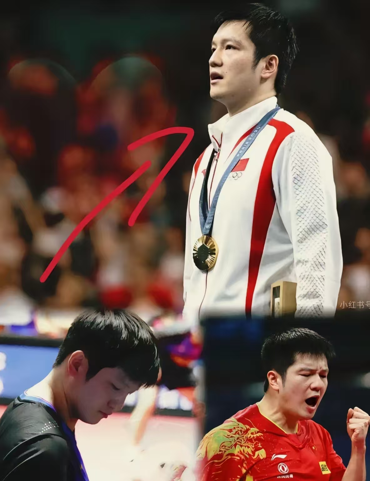 瑞典队轻取中国队，樊振东状态火热的简单介绍