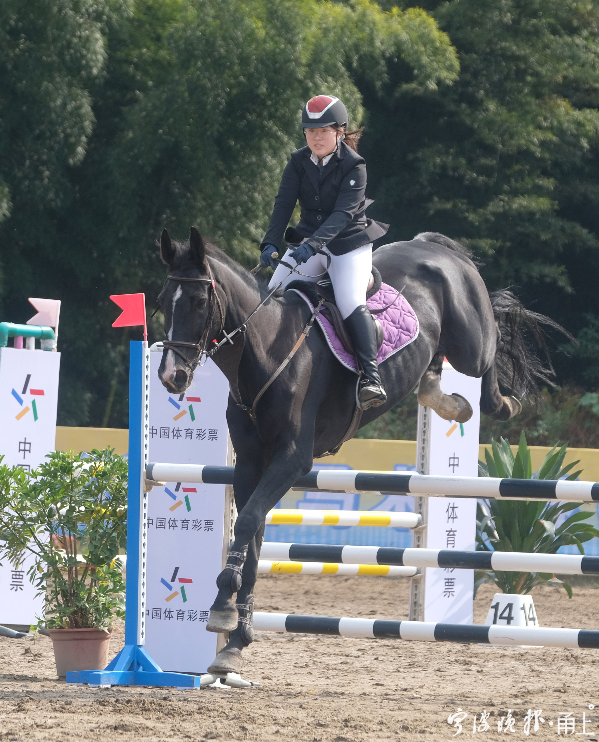 阿联酋马术选手稳中有变，夺取银牌