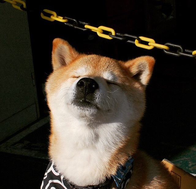 布鲁克林铁骑踏碎孟菲斯壁垒，英格拉姆一锤定音改写格局