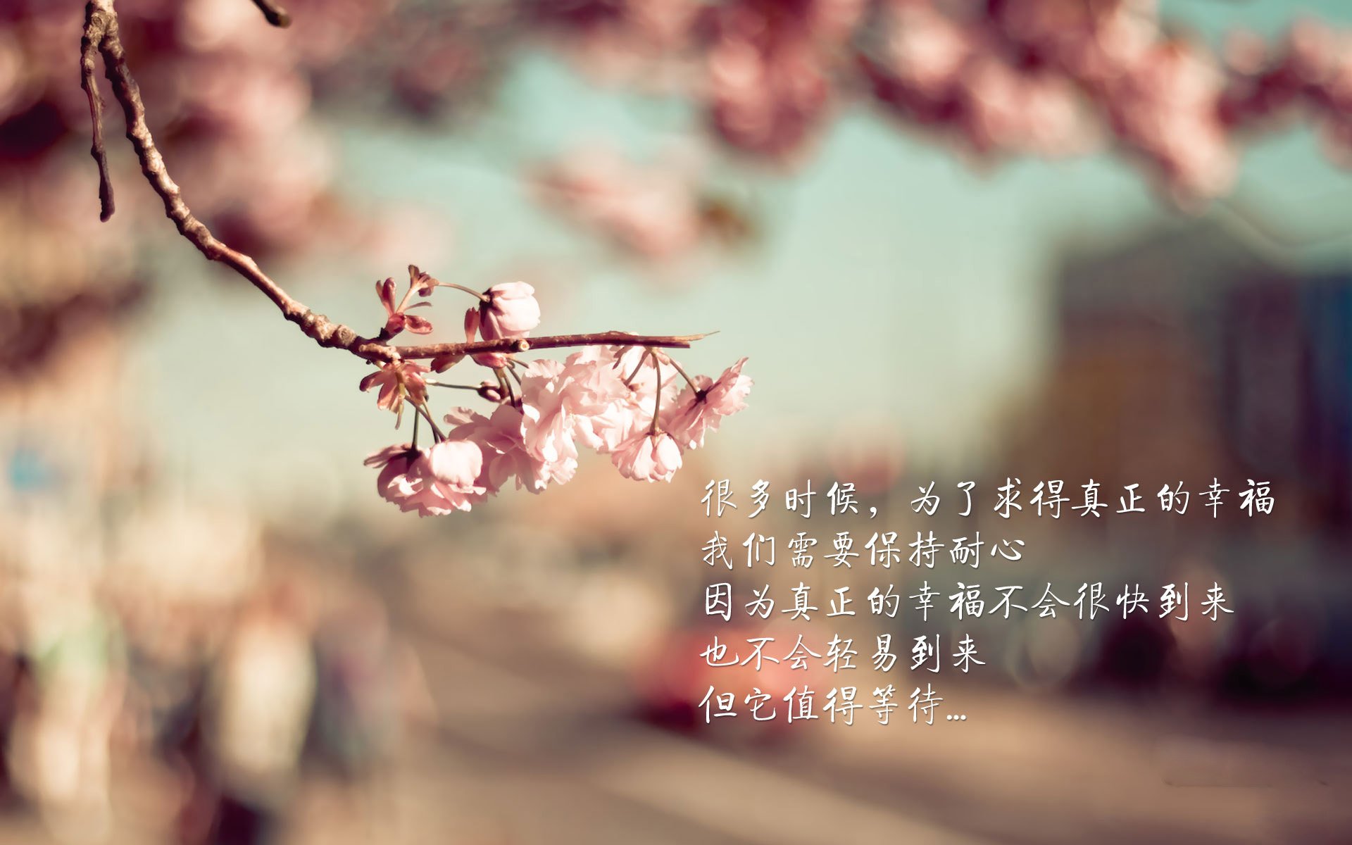 南美烽火与欧洲星光,当阿根廷血拼智利之夜,佩德里已在2026世界杯画下接管比赛的蓝图