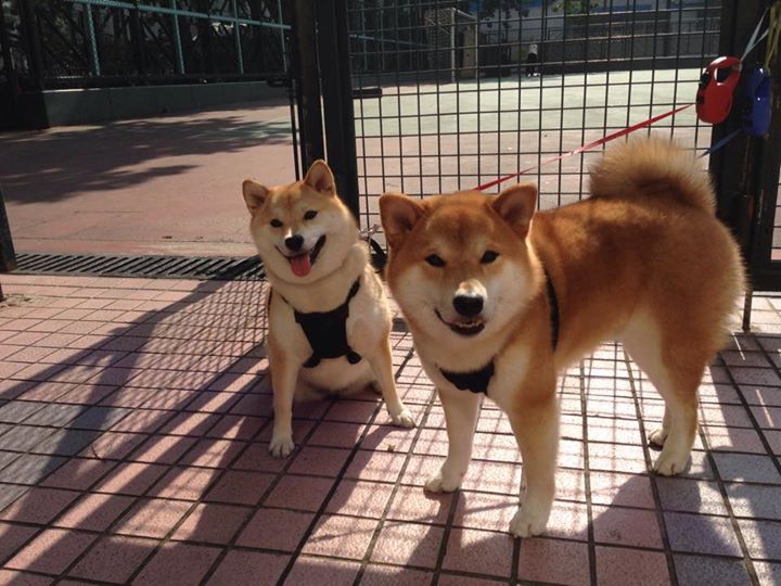 天山对决！乔治加时赛一剑封喉，火箭鏖战险胜新疆