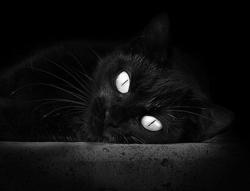 凌晨三点的速度诗，当F1夜战焰火掠过欧文的转换风暴