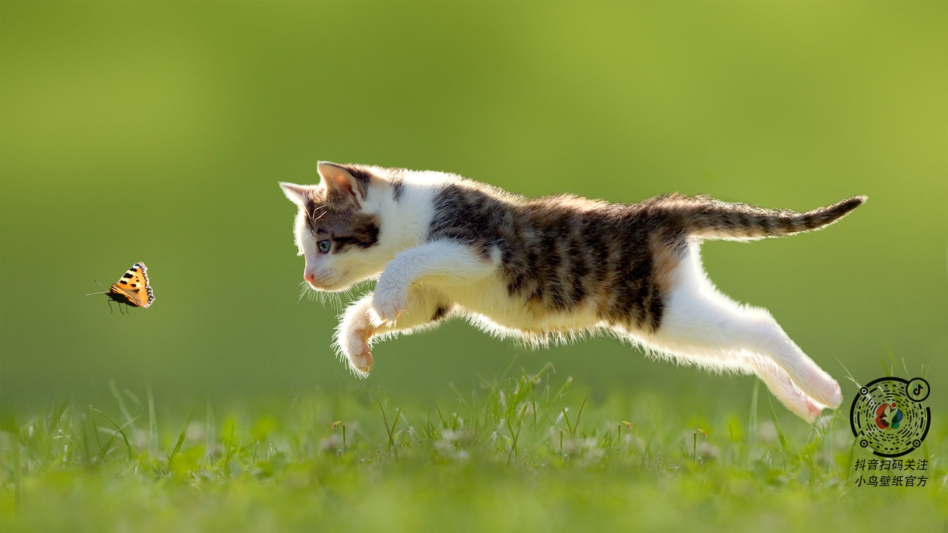 哥伦比亚跨越整片球场拿下法国,楚阿梅尼的进攻觉醒颠覆剧本,攻防双子星陨落