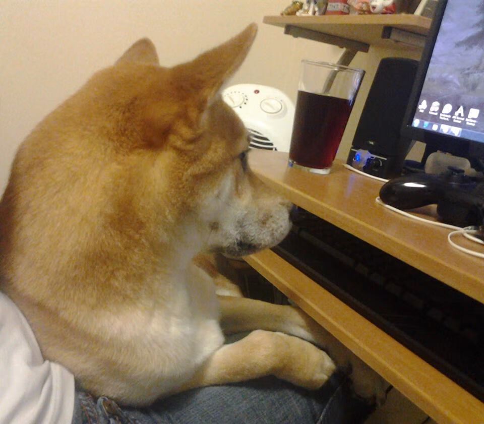 沙漠之夜,当仙人掌开出枪膛的花—记美加墨世界杯之夜的贝恩爆发