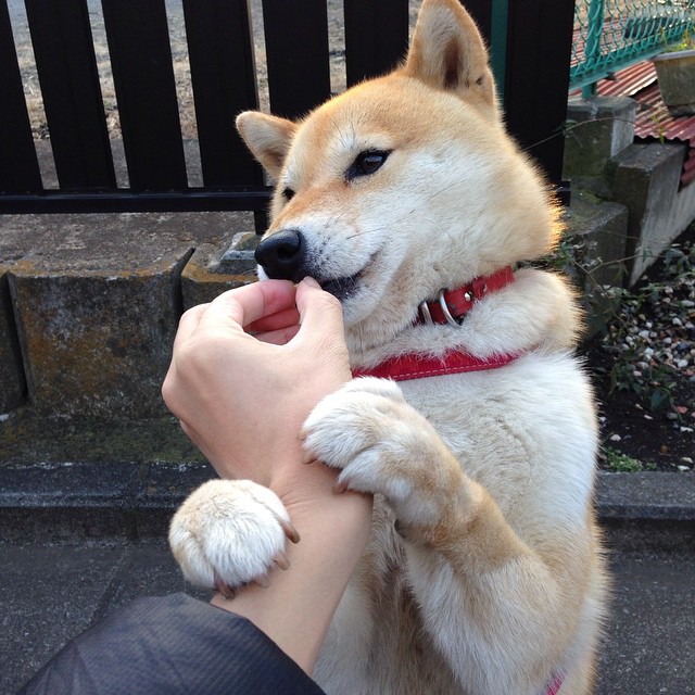 巨星45米巡航导弹难救主!团队奇迹击碎克罗地亚黄金一代