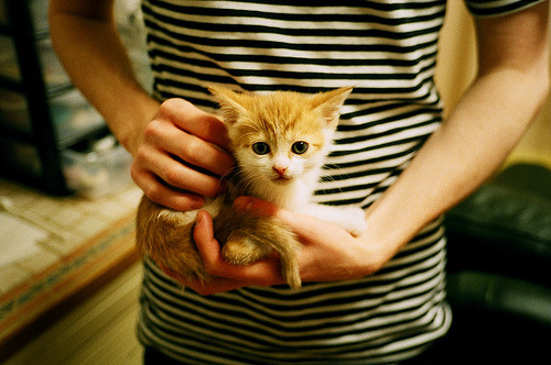 唯一性，克瓦拉茨赫利亚的幽灵一击，如何让葡萄牙在巅峰对决中胜出澳大利亚