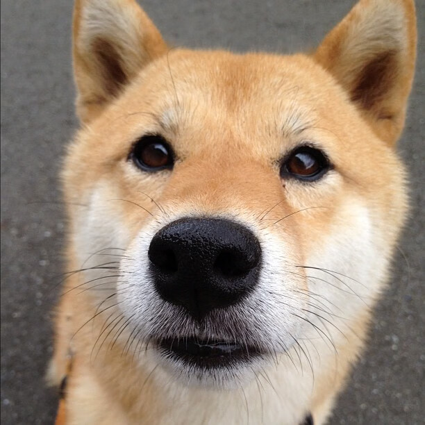 一人一城，一夜封神