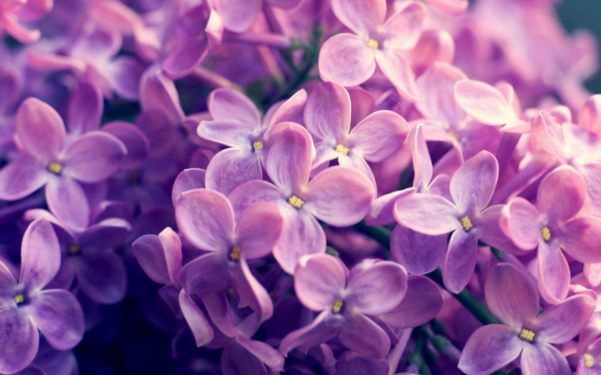 天神下凡！卡拉斯科进攻端不可阻挡，率塞内加尔闪电战速胜南非