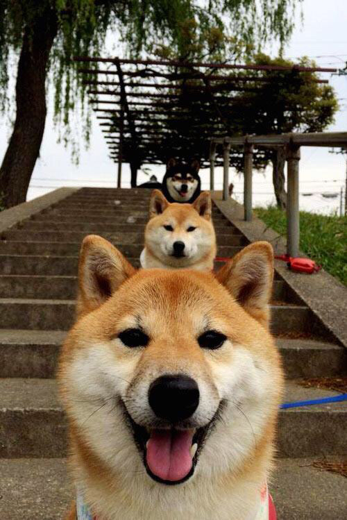 独此一家，米切尔71分13记三分之夜，山西队竟完成22分翻盘双加时篮网