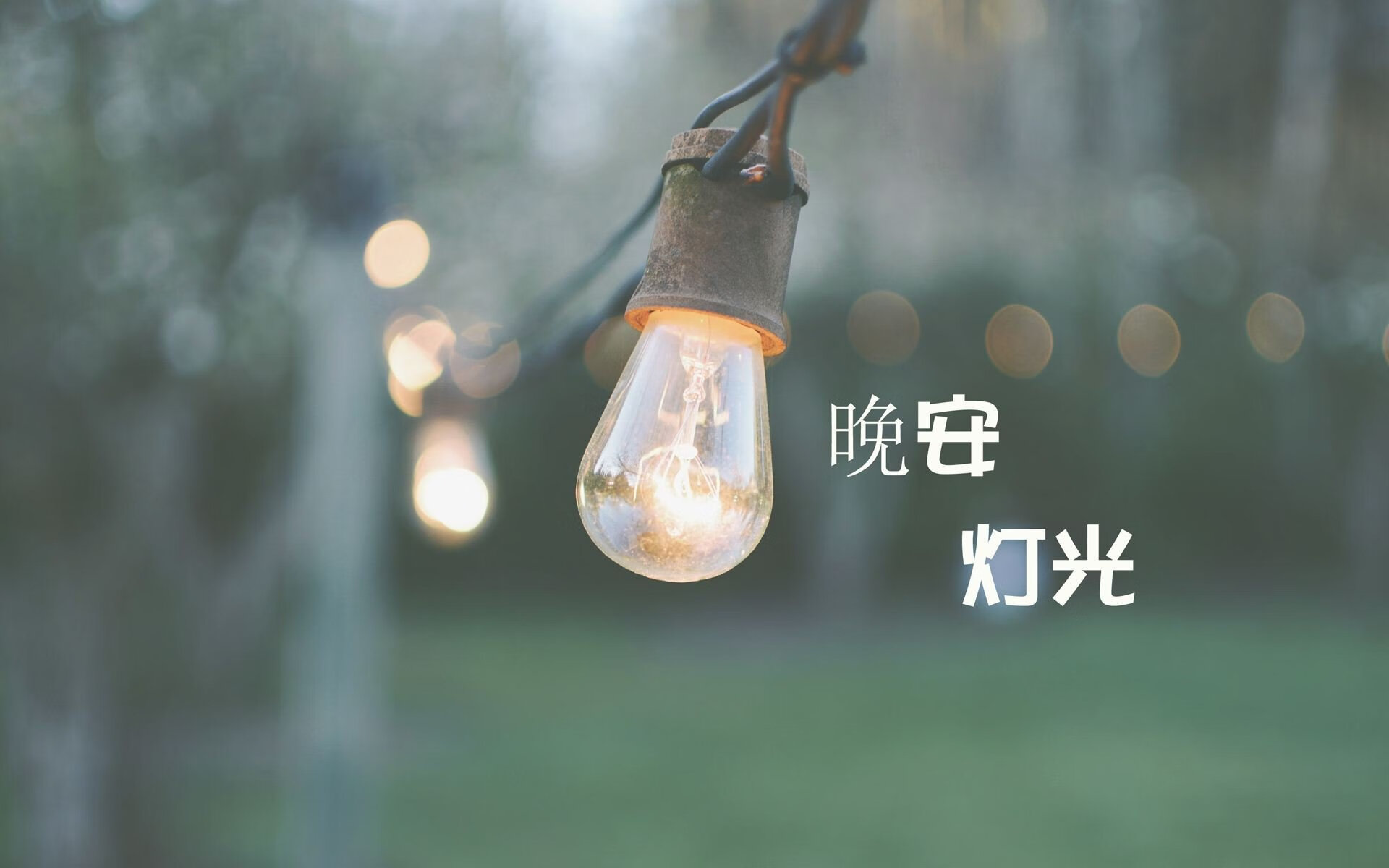 沙漠风暴与蓝白荣光,2026世界杯D组关键战,阿联酋力克哥斯达黎加,梅西带队取强硬胜利